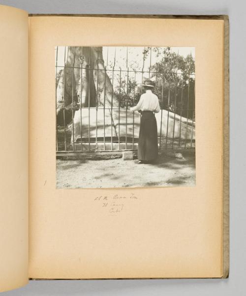 At the Peso Tree, El Caney, Cuba [Page 33 of Victoria Hayward Album]