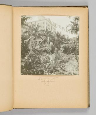 In the grounds of the House Colonial, Nassau [Page 9 of Victoria Hayward album]