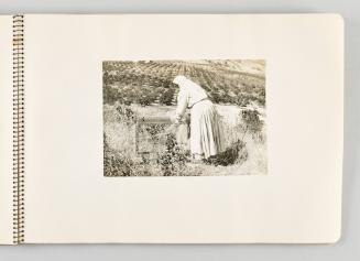 [Woman in cutting crops in field, page 33 of The Doukhobors I album]