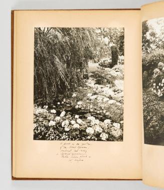 A pool in the garden of Mr. David Spencer bordered with rosy colored geraniums. Water lilies float on its surface. [Page 32 of Victoria, BC album]