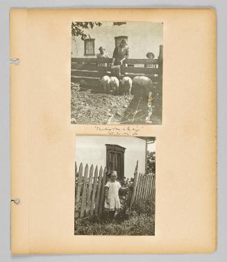 Feeding time for the pigs. [Page 41 of Children album]
