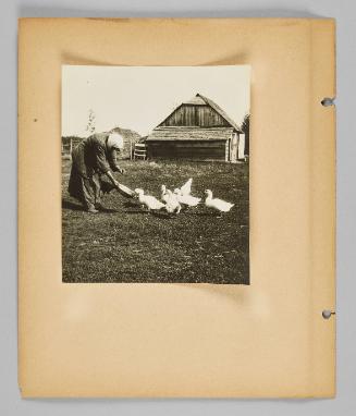 [A woman feeds a goose out of a bowl] [Page 2 of New Canadians album]