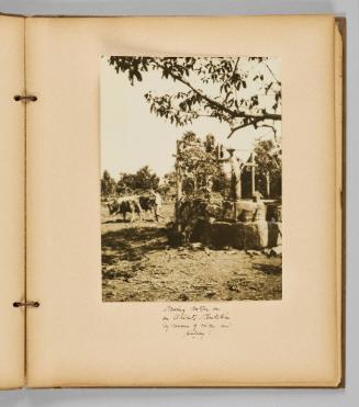 Drinking water on an Oriente Plantation by means of the oxen and pully! [Page 25 of Wells and Pots album]
