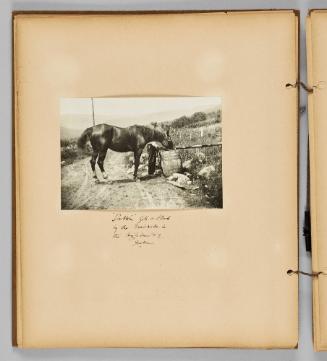 "Dobbin" gets a drink by the roadside in the Highlands of Quebec [Page 16 of Wells and Pots album]
