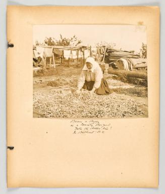 Beans a-drying in a community door yard. Note the clothes line! In Brilliant, B.C [Page 55 of The Doukhobors II album]