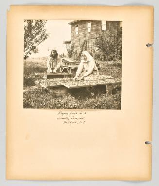 Drying fruit in a community dooryard, Brilliant, B.C [Page 44 of The Doukhobors II album]