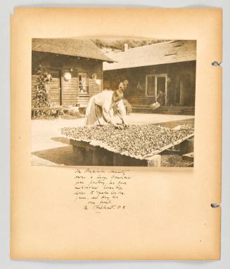 The Doukhobor Community owns a large commercial jam factory, but each individual house wife likes to make her own jam, and dry her own fruit. In Brilliant, B.C [Page 42 of The Doukhobors II album]