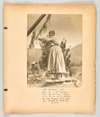After the "retting' of the flax down in the Columbia river, the wet mass is hung up to dry on wooden frames, and this tangled mass then goes through the "heckaling" [heckling] process. [Page 33 of The Doukhobors II album]