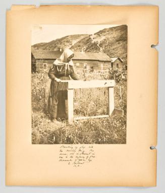 Breaking up the flax with the wooden knife. The same old instrument in use in the infancy of flax, thousands of years ago. In Brilliant, B.C [Page 32 of The Doukhobors II album]