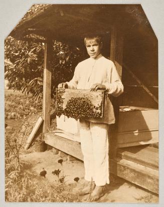 Alex the little Bee raiser, Brilliant B.C