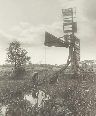 The Ruined Water Mill   Plate no.11 from "Life and Landscape on the Norfolk Broads"