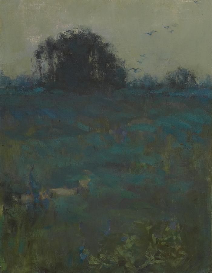 Misty Evening