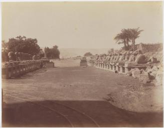 [The road of Sphinx]