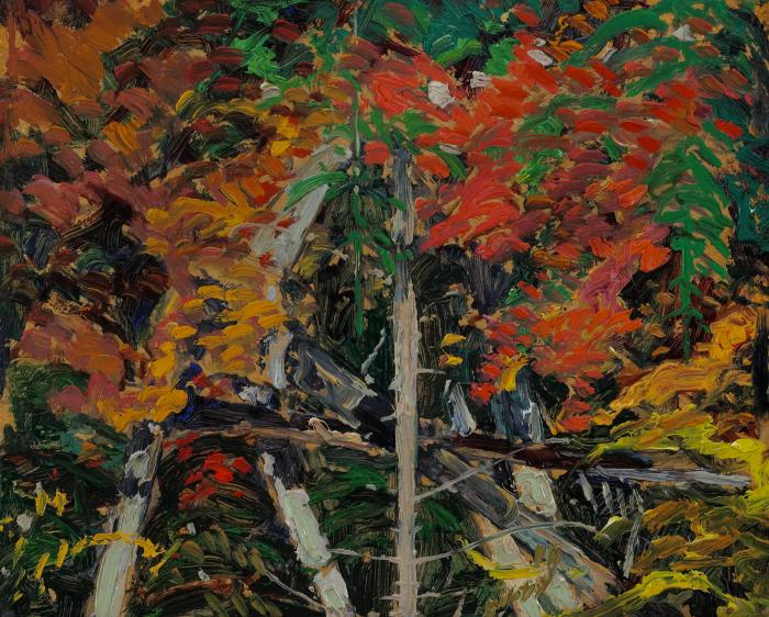 Tangled Woods, Algoma