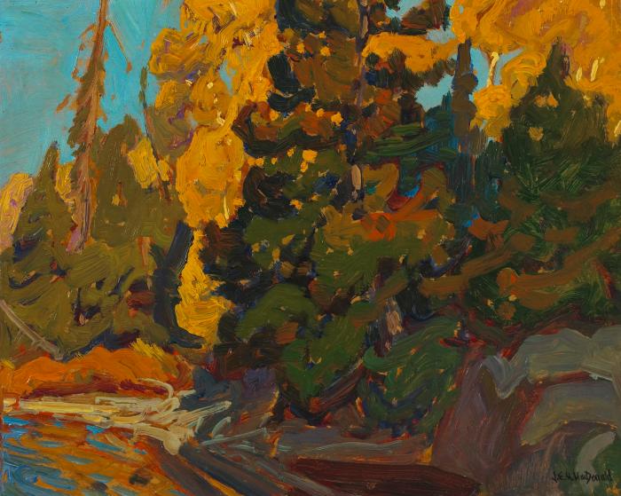 Trees and Sunlight, Algoma
