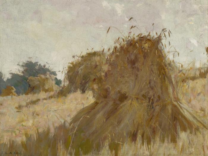 The Rye Field