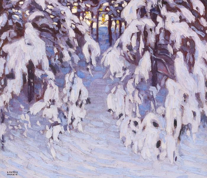 Snow, Algonquin Park