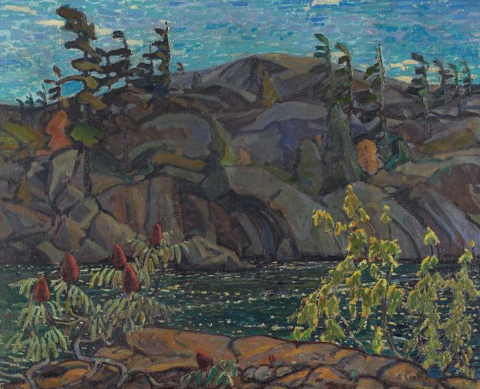 Rock, Pine and Sunlight