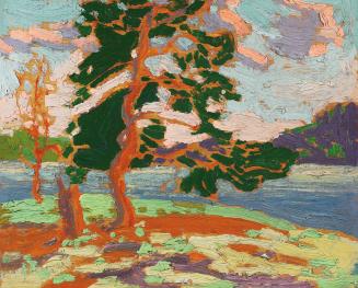 Pine Tree