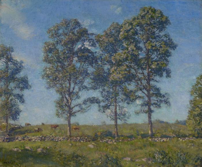 Landscape with Elms