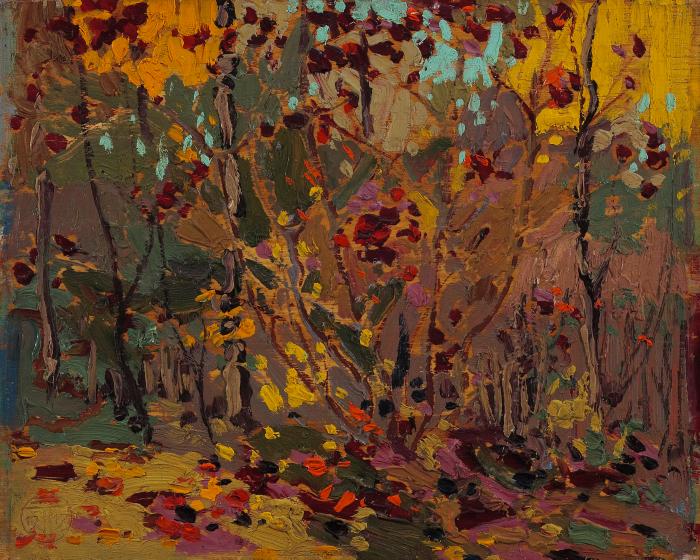 Maple Saplings, October