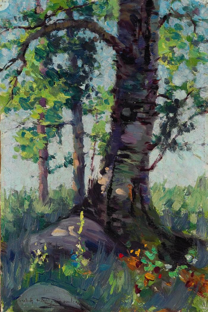 Trees