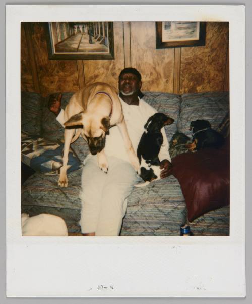 [Man in white shirt sitting on couch with three dogs in a wood panelled room, one large dog is standing on the man's lap]