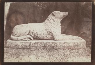 Sir Walter Scott's favorite dog, Maida