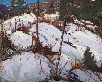 Winter Hillside, Algonquin Park