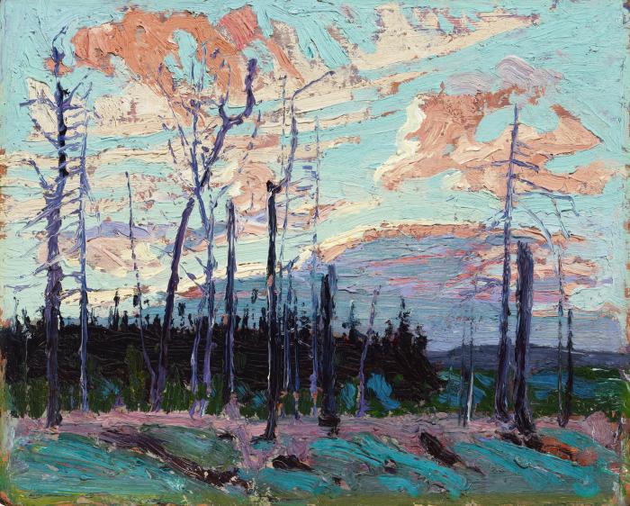 Burnt Land at Sunset