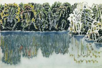 Dark Shore Reflected, Bishop's Pond