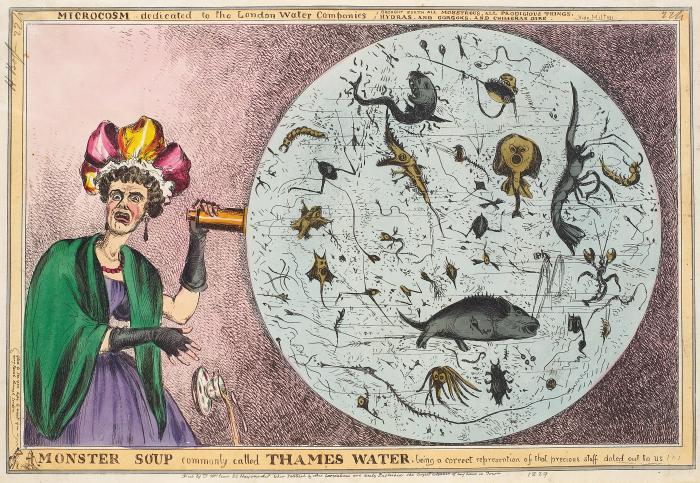 Monster Soup commonly called Thames Water..