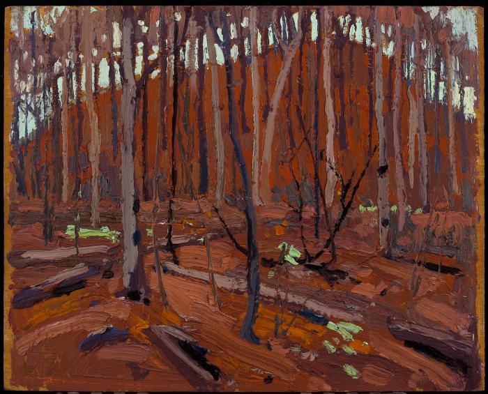 Northern Landscape