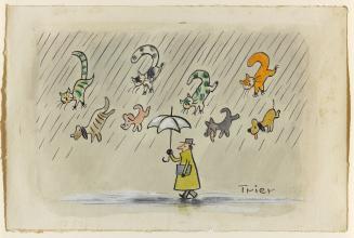 Raining Cats and Dogs