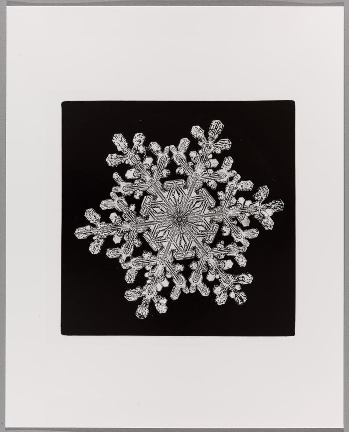 Snowflake Crystal