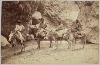 Traveling by Donkey, Cane River, Jamaica