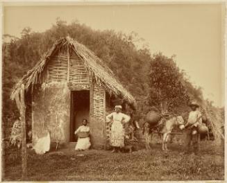 Rural House, Jamaica