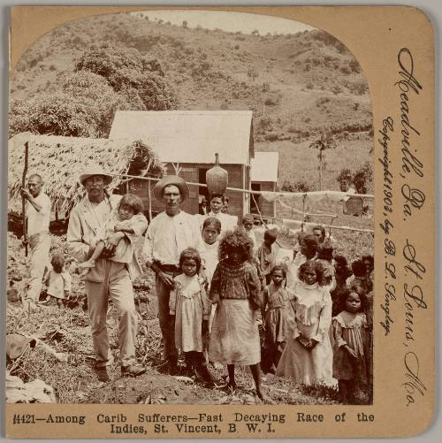 Among Caribe Sufferers - Fast Decaying Race of the Indies, St Vincent