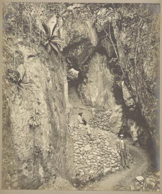 Roadway, Cane River, Jamaica