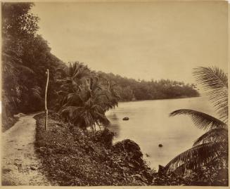 On The North Coast Road, Jamaica