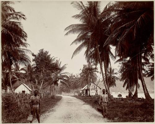 Road to Port Antonio, Jamaica