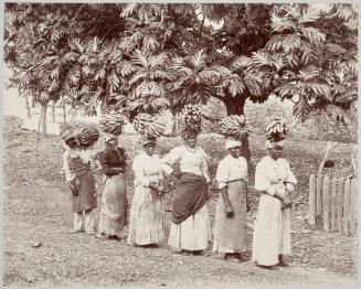Banana Carriers, Jamaica