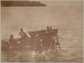 Diving for Coins, St Lucia