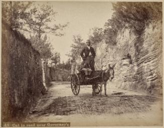 Cut In Road Near Governor's, Bermuda