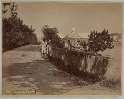 Road in Paget, Bermuda