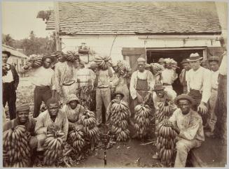 Banana Carriers, Jamaica