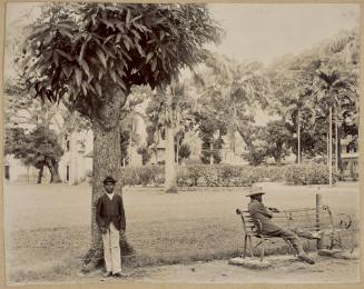 Gardens, Castries, St. Lucia