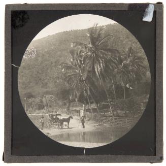 Crossing a River, Jamaica