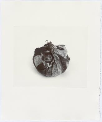 Generational Echoes II