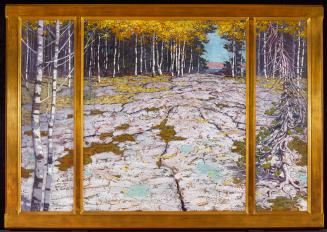 Autumn Forest with Glaciated Bedrock, Georgian Bay